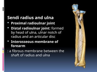 ARTHROLOGI.pptx dawdadjadaikkadkkaokaadk | PPT