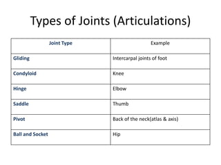 Arthrology | PPTX