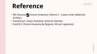 Arthrology of the Lower Limb by Dr.RUMAISA PT | PPTX