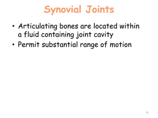 Synovial Joints
• Articulating bones are located within
a fluid containing joint cavity
• Permit substantial range of motion
15
 