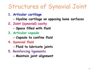 Structures of Synovial Joint
1. Articular cartilage
– Hyaline cartilage on opposing bone surfaces
2. Joint (synovial) cavity
– Space filled with fluid
3. Articular capsule
– Capsule to confine fluid
4. Synovial fluid
– Fluid to lubricate joints
5. Reinforcing ligaments
– Maintain joint alignment
16
 