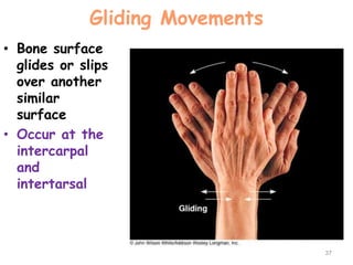 Gliding Movements
• Bone surface
glides or slips
over another
similar
surface
• Occur at the
intercarpal
and
intertarsal
37
 