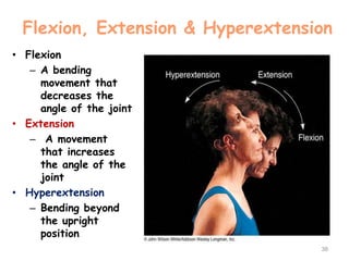 Flexion, Extension & Hyperextension
• Flexion
– A bending
movement that
decreases the
angle of the joint
• Extension
– A movement
that increases
the angle of the
joint
• Hyperextension
– Bending beyond
the upright
position
38
 