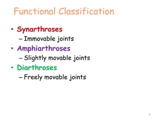 Functional Classification
• Synarthroses
– Immovable joints
• Amphiarthroses
– Slightly movable joints
• Diarthroses
– Freely movable joints
5
 