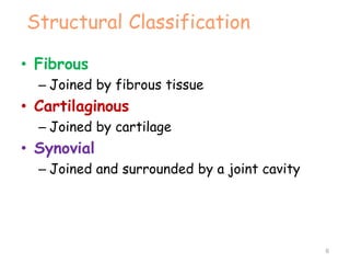 Structural Classification
• Fibrous
– Joined by fibrous tissue
• Cartilaginous
– Joined by cartilage
• Synovial
– Joined and surrounded by a joint cavity
6
 