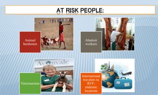 AT RISK PEOPLE:
Animal
herdsmen
Abattoir
workers
Veterinarians
International
travelers to
RVF-
endemic
locations
 