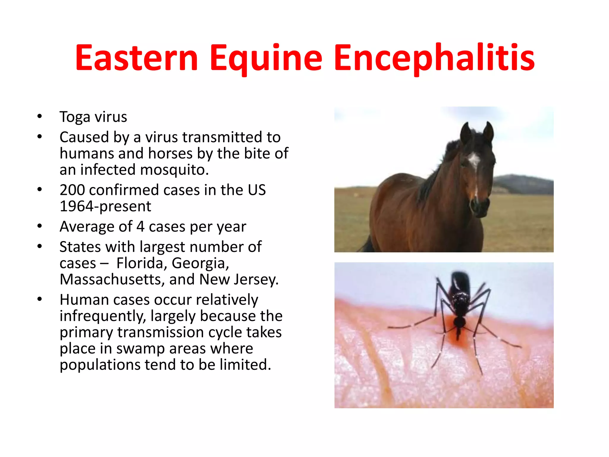 Eastern Equine Encephalitis
• Toga virus
• Caused by a virus transmitted to
  humans and horses by the bite of
  an infected mosquito.
• 200 confirmed cases in the US
  1964-present
• Average of 4 cases per year
• States with largest number of
  cases – Florida, Georgia,
  Massachusetts, and New Jersey.
• Human cases occur relatively
  infrequently, largely because the
  primary transmission cycle takes
  place in swamp areas where
  populations tend to be limited.
 