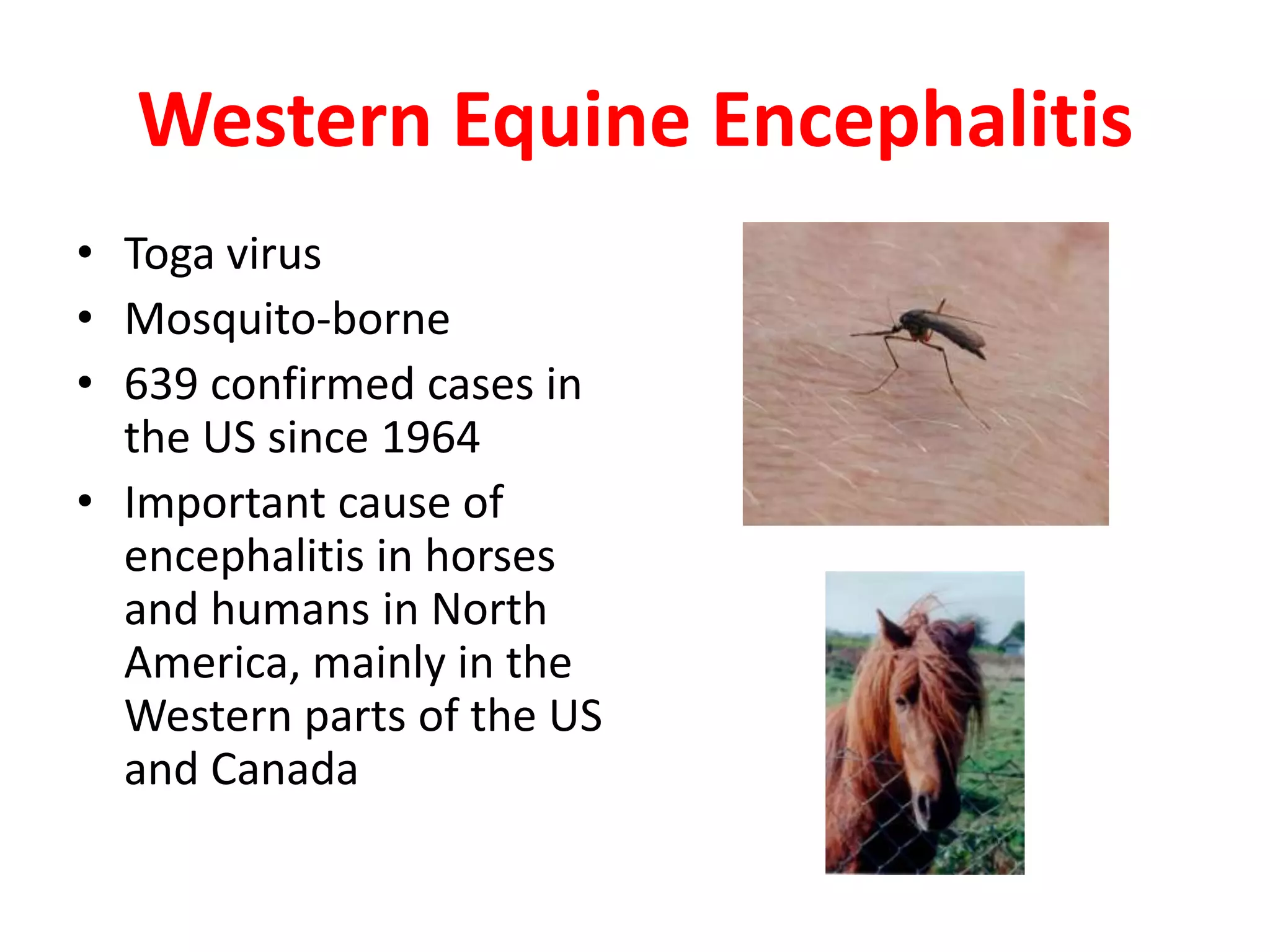 Western Equine Encephalitis
• Toga virus
• Mosquito-borne
• 639 confirmed cases in
  the US since 1964
• Important cause of
  encephalitis in horses
  and humans in North
  America, mainly in the
  Western parts of the US
  and Canada
 