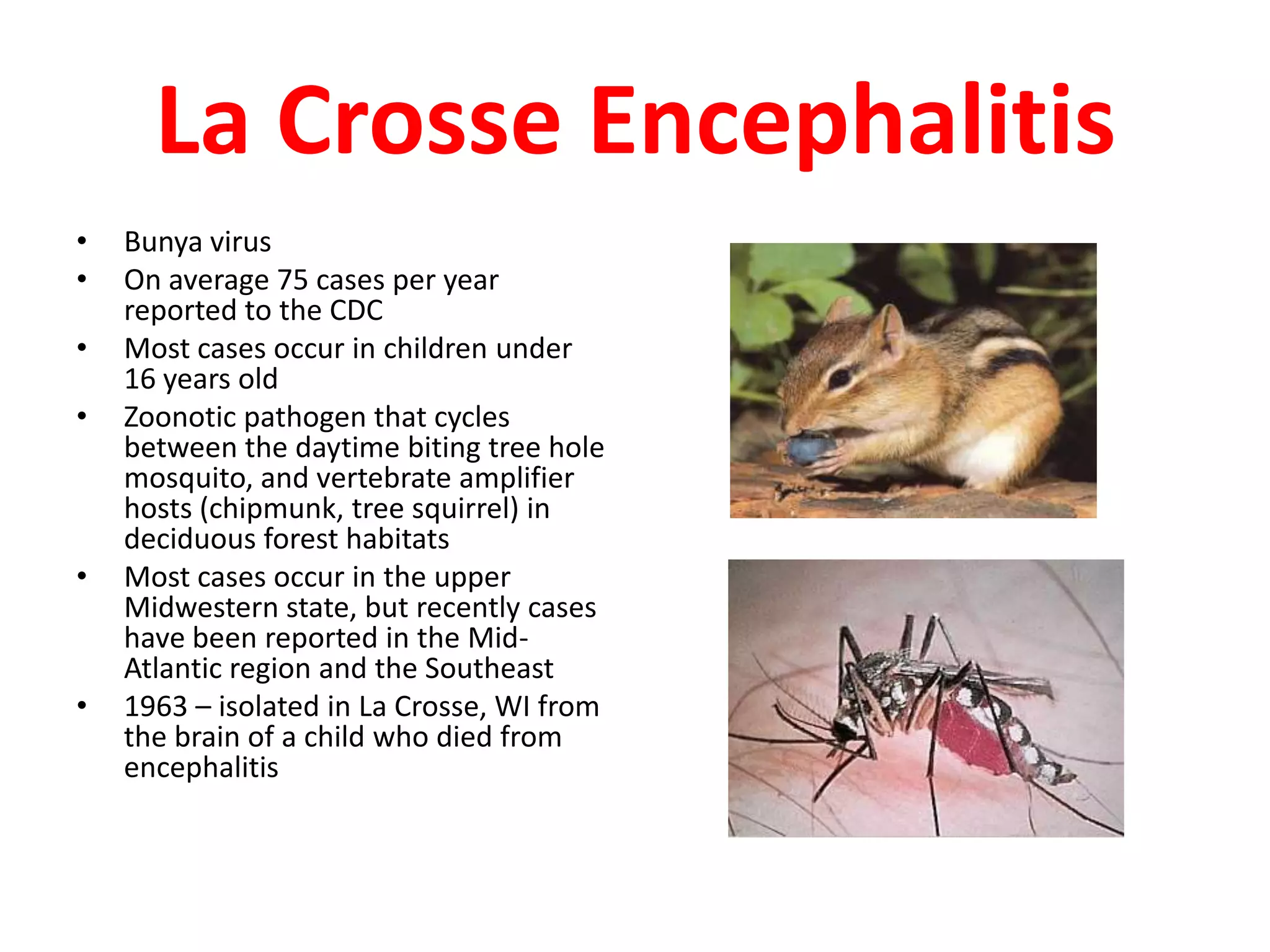 La Crosse Encephalitis
•   Bunya virus
•   On average 75 cases per year
    reported to the CDC
•   Most cases occur in children under
    16 years old
•   Zoonotic pathogen that cycles
    between the daytime biting tree hole
    mosquito, and vertebrate amplifier
    hosts (chipmunk, tree squirrel) in
    deciduous forest habitats
•   Most cases occur in the upper
    Midwestern state, but recently cases
    have been reported in the Mid-
    Atlantic region and the Southeast
•   1963 – isolated in La Crosse, WI from
    the brain of a child who died from
    encephalitis
 