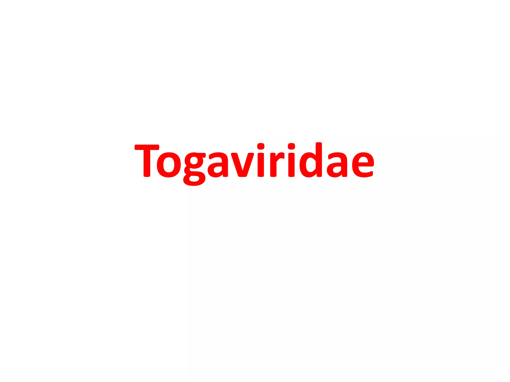 Togaviridae
 