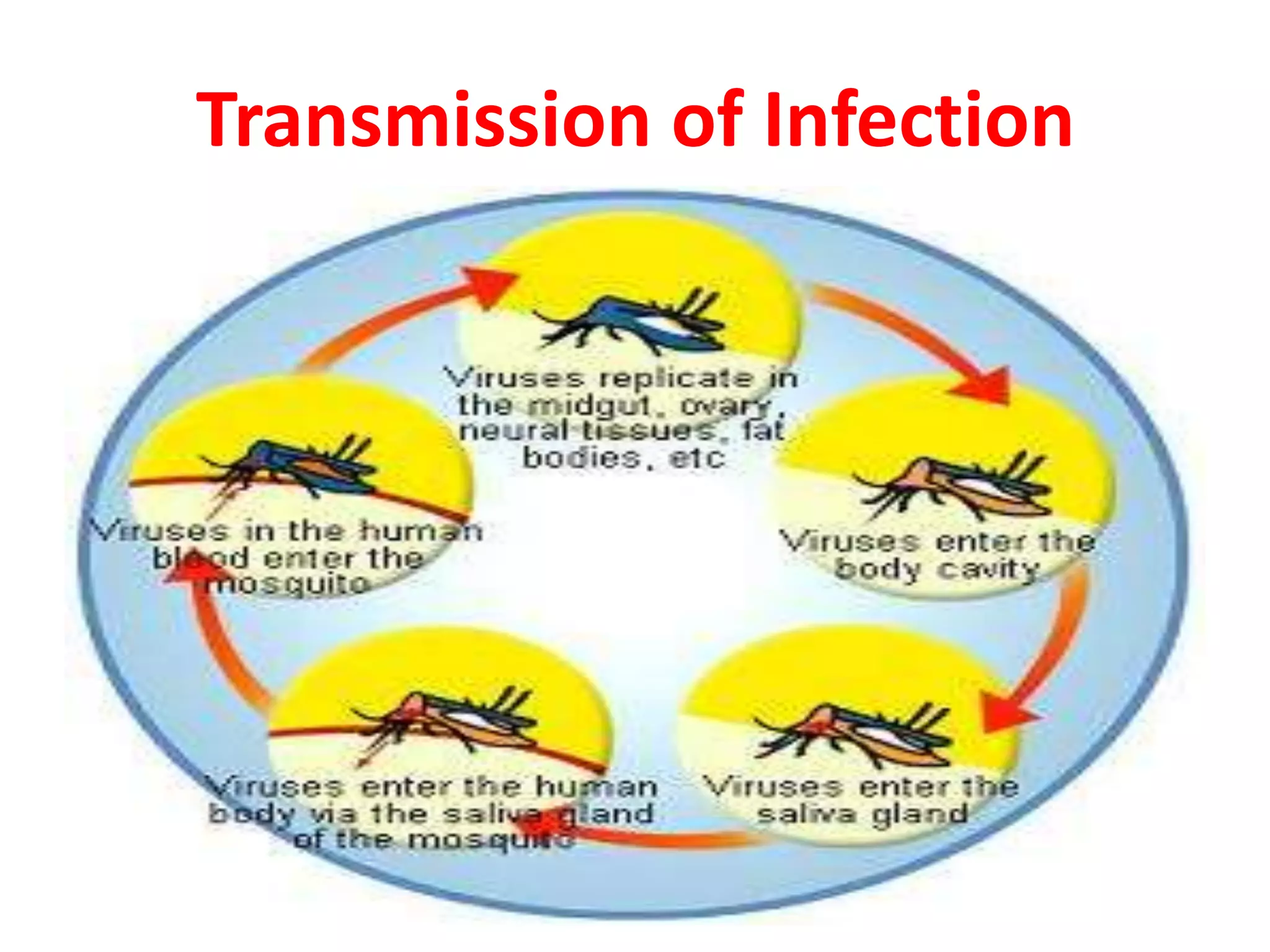 Transmission of Infection
 
