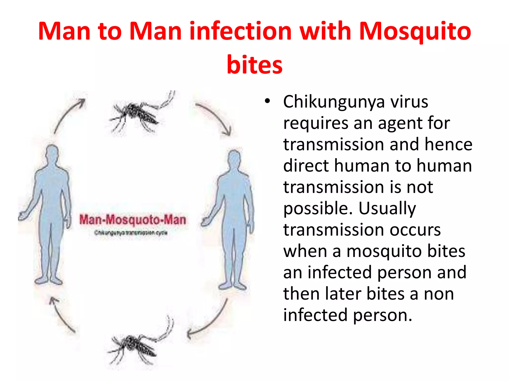 Man to Man infection with Mosquito
              bites
                 • Chikungunya virus
                   requires an agent for
                   transmission and hence
                   direct human to human
                   transmission is not
                   possible. Usually
                   transmission occurs
                   when a mosquito bites
                   an infected person and
                   then later bites a non
                   infected person.
 