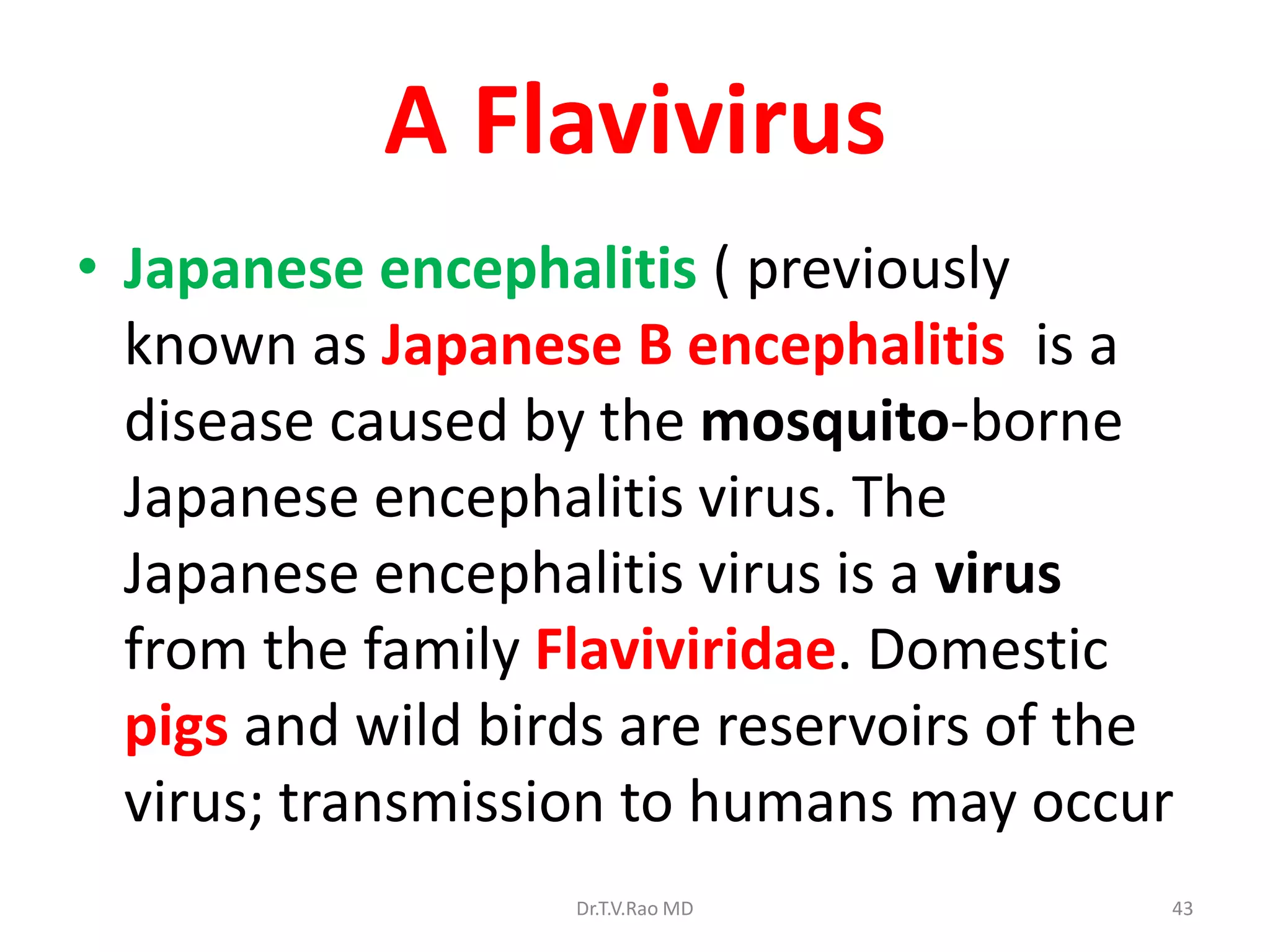 A Flavivirus
• Japanese encephalitis ( previously
  known as Japanese B encephalitis is a
  disease caused by the mosquito-borne
  Japanese encephalitis virus. The
  Japanese encephalitis virus is a virus
  from the family Flaviviridae. Domestic
  pigs and wild birds are reservoirs of the
  virus; transmission to humans may occur
                   Dr.T.V.Rao MD          43
 