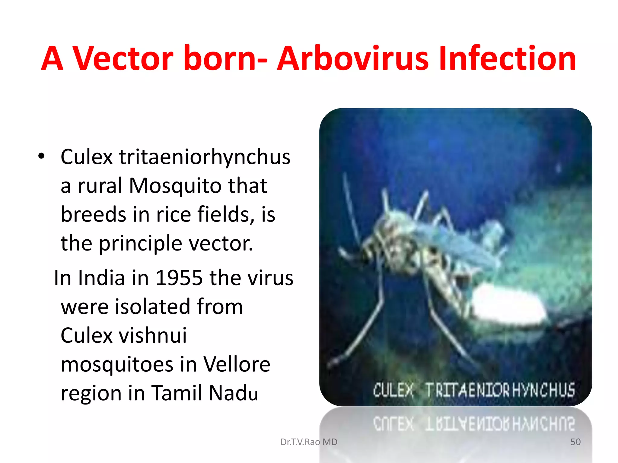 A Vector born- Arbovirus Infection

• Culex tritaeniorhynchus
   a rural Mosquito that
   breeds in rice fields, is
   the principle vector.
  In India in 1955 the virus
   were isolated from
   Culex vishnui
   mosquitoes in Vellore
   region in Tamil Nadu
                          Dr.T.V.Rao MD   50
 
