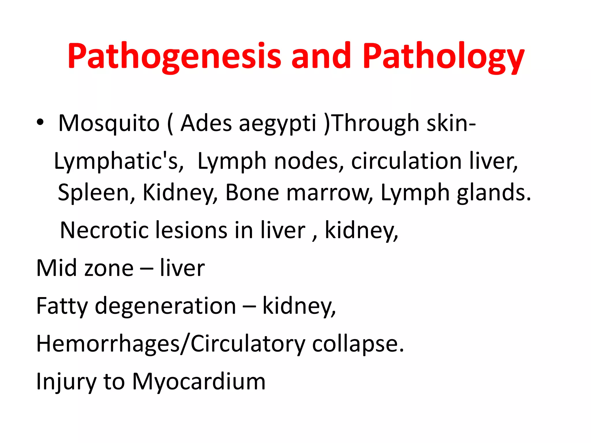 Pathogenesis and Pathology
• Mosquito ( Ades aegypti )Through skin-
  Lymphatic's, Lymph nodes, circulation liver,
  Spleen, Kidney, Bone marrow, Lymph glands.
   Necrotic lesions in liver , kidney,
Mid zone – liver
Fatty degeneration – kidney,
Hemorrhages/Circulatory collapse.
Injury to Myocardium
 
