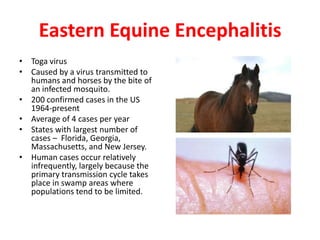 Eastern Equine Encephalitis
• Toga virus
• Caused by a virus transmitted to
  humans and horses by the bite of
  an infected mosquito.
• 200 confirmed cases in the US
  1964-present
• Average of 4 cases per year
• States with largest number of
  cases – Florida, Georgia,
  Massachusetts, and New Jersey.
• Human cases occur relatively
  infrequently, largely because the
  primary transmission cycle takes
  place in swamp areas where
  populations tend to be limited.
 