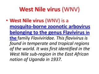 West Nile virus (WNV)
• West Nile virus (WNV) is a
  mosquito-borne zoonotic arbovirus
  belonging to the genus Flavivirus in
 the family Flaviviridae. This flavivirus is
 found in temperate and tropical regions
 of the world. It was first identified in the
 West Nile sub-region in the East African
 nation of Uganda in 1937.
 