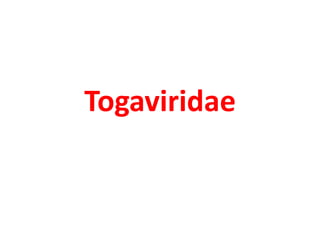 Togaviridae
 