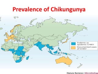 Prevalence of Chikungunya
 