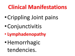 Clinical Manifestations
•Crippling Joint pains
•Conjunctivitis
• Lymphadenopathy
•Hemorrhagic
 tendencies.
 
