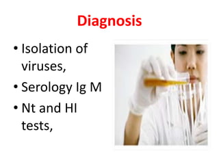 Diagnosis
• Isolation of
  viruses,
• Serology Ig M
• Nt and HI
  tests,
 