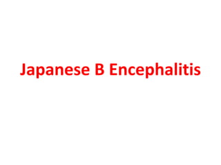 Japanese B Encephalitis
 
