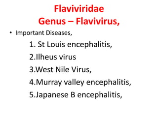 Flaviviridae
         Genus – Flavivirus,
• Important Diseases,
      1. St Louis encephalitis,
      2.Ilheus virus
      3.West Nile Virus,
      4.Murray valley encephalitis,
      5.Japanese B encephalitis,
 