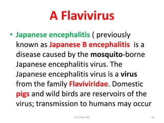A Flavivirus
• Japanese encephalitis ( previously
  known as Japanese B encephalitis is a
  disease caused by the mosquito-borne
  Japanese encephalitis virus. The
  Japanese encephalitis virus is a virus
  from the family Flaviviridae. Domestic
  pigs and wild birds are reservoirs of the
  virus; transmission to humans may occur
                   Dr.T.V.Rao MD          43
 