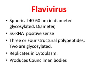 Flavivirus
• Spherical 40-60 nm in diameter
  glycosylated. Diameter,
• Ss-RNA positive sense
• Three or Four structural polypeptides,
  Two are glycosylated.
• Replicates in Cytoplasm.
• Produces Councilman bodies
 