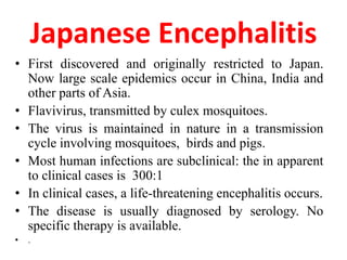 Japanese Encephalitis
• First discovered and originally restricted to Japan.
  Now large scale epidemics occur in China, India and
  other parts of Asia.
• Flavivirus, transmitted by culex mosquitoes.
• The virus is maintained in nature in a transmission
  cycle involving mosquitoes, birds and pigs.
• Most human infections are subclinical: the in apparent
  to clinical cases is 300:1
• In clinical cases, a life-threatening encephalitis occurs.
• The disease is usually diagnosed by serology. No
  specific therapy is available.
•   .
 