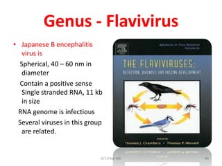 Genus - Flavivirus
• Japanese B encephalitis
   virus is
  Spherical, 40 – 60 nm in
   diameter
  Contain a positive sense
   Single stranded RNA, 11 kb
   in size
 RNA genome is infectious
 Several viruses in this group
   are related.


                             Dr.T.V.Rao MD   40
 