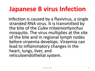 Japanese B virus Infection
Infection is caused by a flavivirus, a single
 stranded RNA virus. It is transmitted by
 the bite of the Culex tritaeniorhynchus
 mosquito. The virus multiplies at the site
 of the bite and in regional lymph nodes
 before viraemia develops. Viraemia can
 lead to inflammatory changes in the
 heart, lungs, liver, and
 reticuloendothelial system.

                   Dr.T.V.Rao MD            41
 