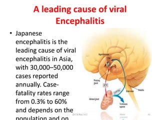 A leading cause of viral
             Encephalitis
• Japanese
  encephalitis is the
  leading cause of viral
  encephalitis in Asia,
  with 30,000–50,000
  cases reported
  annually. Case-
  fatality rates range
  from 0.3% to 60%
  and depends on the  Dr.T.V.Rao MD   46
 