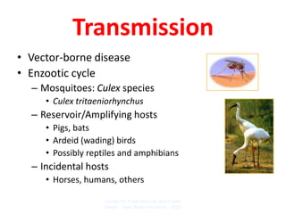 Transmission
• Vector-borne disease
• Enzootic cycle
  – Mosquitoes: Culex species
     • Culex tritaeniorhynchus
  – Reservoir/Amplifying hosts
     • Pigs, bats
     • Ardeid (wading) birds
     • Possibly reptiles and amphibians
  – Incidental hosts
     • Horses, humans, others

                   Center for Food Security and Public
                   Health Iowa State University - 2007
 