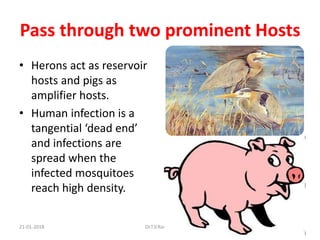 Arthropod-borne Viral Infections by Dr.T.V.Rao MD | PPTX