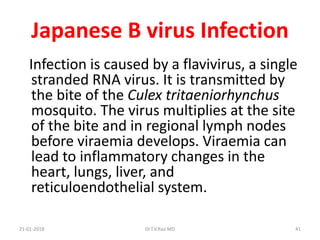 Arthropod-borne   Viral Infections by Dr.T.V.Rao MD