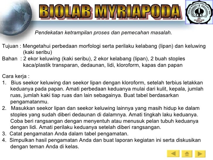 Arthropoda Arthropoda