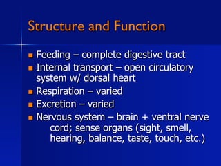 Structure and Function
  Feeding – complete digestive tract
  Internal transport – open circulatory
   system w/ dorsal heart
  Respiration – varied
  Excretion – varied
  Nervous system – brain + ventral nerve
      cord; sense organs (sight, smell,
      hearing, balance, taste, touch, etc.)
 