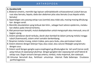 Arthropoda | PPT