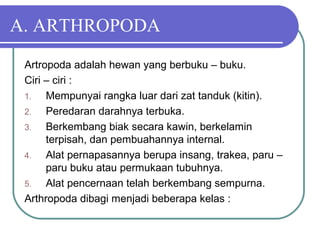 A. ARTHROPODA
Artropoda adalah hewan yang berbuku – buku.
Ciri – ciri :
1. Mempunyai rangka luar dari zat tanduk (kitin).
2. Peredaran darahnya terbuka.
3. Berkembang biak secara kawin, berkelamin
terpisah, dan pembuahannya internal.
4. Alat pernapasannya berupa insang, trakea, paru –
paru buku atau permukaan tubuhnya.
5. Alat pencernaan telah berkembang sempurna.
Arthropoda dibagi menjadi beberapa kelas :
 