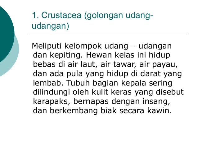 Arthropoda