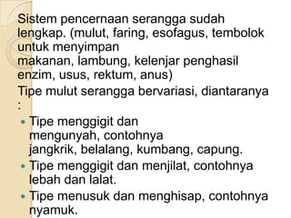 Sistem pencernaan serangga sudah
lengkap. (mulut, faring, esofagus, tembolok
untuk menyimpan
makanan, lambung, kelenjar penghasil
enzim, usus, rektum, anus)
Tipe mulut serangga bervariasi, diantaranya
:
 Tipe menggigit dan
mengunyah, contohnya
jangkrik, belalang, kumbang, capung.
 Tipe menggigit dan menjilat, contohnya
lebah dan lalat.
 Tipe menusuk dan menghisap, contohnya
nyamuk.
 
