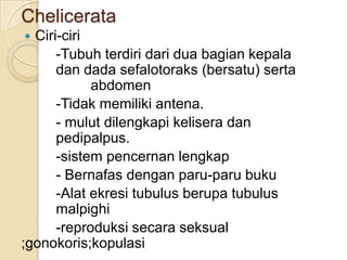Chelicerata
 Ciri-ciri
-Tubuh terdiri dari dua bagian kepala
dan dada sefalotoraks (bersatu) serta
abdomen
-Tidak memiliki antena.
- mulut dilengkapi kelisera dan
pedipalpus.
-sistem pencernan lengkap
- Bernafas dengan paru-paru buku
-Alat ekresi tubulus berupa tubulus
malpighi
-reproduksi secara seksual
;gonokoris;kopulasi
 