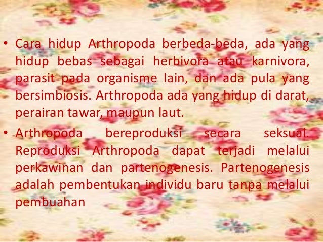 BIOLOGI SMA KELAS 10 ANIMALIA Arthropoda