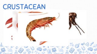 CRUSTACEAN
 