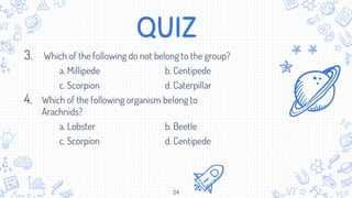 QUIZ
3. Which of the following do not belong to the group?
a. Millipede b. Centipede
c. Scorpion d. Caterpillar
4. Which of the following organism belong to
Arachnids?
a. Lobster b. Beetle
c. Scorpion d. Centipede
24
 