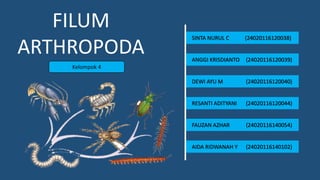 FILUM
ARTHROPODA
Kelompok 4
SINTA NURUL C (24020116120038)
ANGGI KRISDIANTO (24020116120039)
DEWI AYU M (24020116120040)
RESANTI ADITYANI (24020116120044)
FAUZAN AZHAR (24020116140054)
AIDA RIDWANAH Y (24020116140102)
 