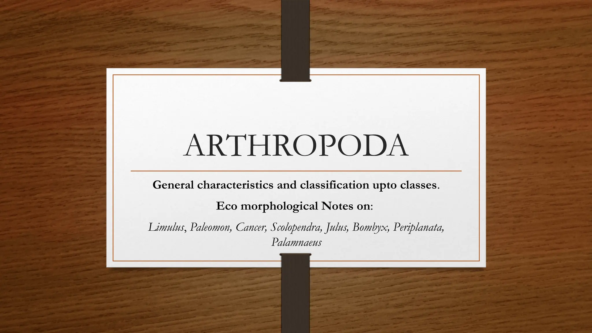 Arthropoda (largest group of animal Kingdom) | PPTX