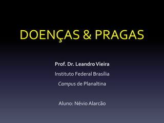 DOENÇAS & PRAGAS
    Prof. Dr. Leandro Vieira
    Instituto Federal Brasília
     Campus de Planaltina


     Aluno: Névio Alarcão
 