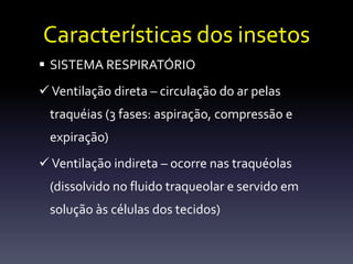 Características dos insetos
 SISTEMA RESPIRATÓRIO
 Ventilação direta – circulação do ar pelas
  traquéias (3 fases: aspiração, compressão e
  expiração)
 Ventilação indireta – ocorre nas traquéolas
  (dissolvido no fluido traqueolar e servido em
  solução às células dos tecidos)
 